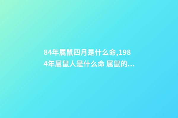 84年属鼠四月是什么命,1984年属鼠人是什么命 属鼠的48年生人是什么命,四月出生的人命好不好-第1张-观点-玄机派
